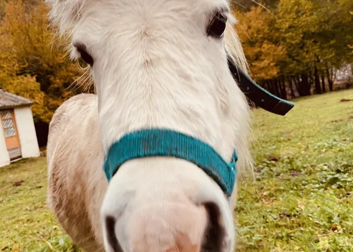 Le Nordique Bain Nordique Sauna *