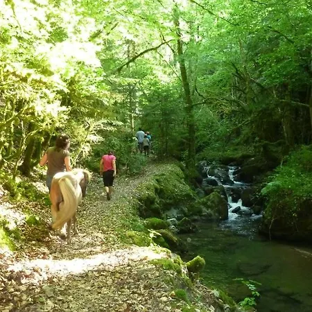 Le Nordique Bain Nordique Sauna Feriehus Frechet-Aure