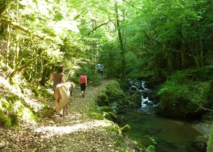 Le Nordique Bain Nordique Sauna Holiday home Frechet-Aure